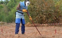 Sénégal: seule la paix permettra de parachever le déminage en Casamance