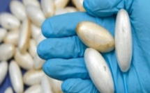 Trafic de drogue entre Dakar et l'Italie: une Sénégalaise de 49 ans tombe avec 1,5 kg de cocaïne