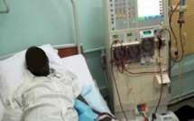 "Plus de 750.000 Sénégalais souffrent de maladie rénale", révèle le chef néphrologie de l'hôpital Dalal Jamm