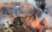 Kaffrine : Plus de 8 tonnes de produits prohibés incinérées par la douane