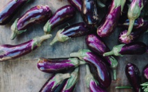 Comment consommer l’aubergine pour perdre du poids 100 % efficace !