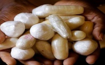 Trafic de drogue: 4 Nigérians et un Sénégalais arrêtés