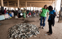 Pêche illégale: Greenpeace encourage et invite l’Etat du Sénégal à se doter de moyens pour une meilleure surveillance de ses eaux