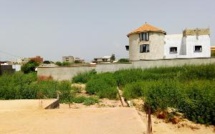 La population de Daga-Kholpa chasse les équipes de Mintech