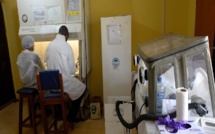 Epidémie de la fièvre Lassa en Guinée: les "annonces fortes" du Gouvernement...