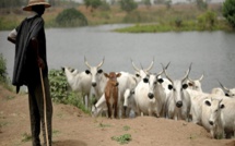 Parricide à Baba Garage: un jeune berger exécute son père et jette le corps dans un puits