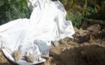 Découverte macabre entre Malika et Tivaouane Peulh: une femme tuée et jetée dans les filaos