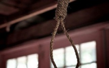 ​Kolda : Une fille âgée de 13 ans retrouvée pendue à un arbre