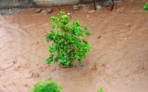 Hivernage 2013: Fatick fin prêt à faire face aux inondations