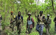 Rébellion Casamance: 1 416 femmes violées par des rebelles entre 1992 à 2010