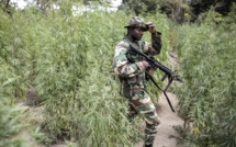 Casamance: la situation reste toujours tendue, surtout dans le sud-ouest de Ziguinchor