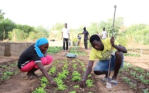 AECID et ANIDA organisent un forum virtuel sur l’agriculture familiale et l’agroécologie au Sénégal