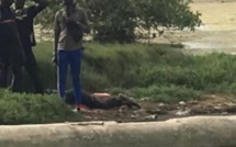 Baie de Boucotte Diembering: les jeunes incendient le domaine et la maison du gérant