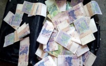 Ziguinchor : Un Bissau-guinéen arrêté avec des billets noirs d'une valeur de 184 millions F Cfa 