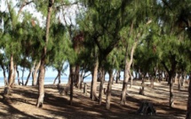 Bande des filaos: les 9 ha attribués aux Impôts et au Cadastre retirés 