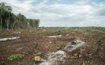 Les «signaux vitaux de la Terre» s'affaiblissent, alertent des scientifiques