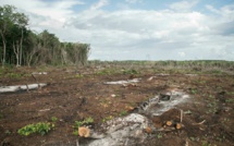 Les «signaux vitaux de la Terre» s'affaiblissent, alertent des scientifiques