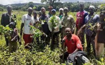 ​Ziguinchor : plus de 260 000 plants d'arbres produits en 2020 (Inspecteur) 