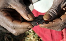 Lutte contre les mutilations génitales féminines et les mariages d’enfants : Vélingara forme ses jeunes