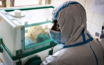 Covid-19, Choléra, Ebola et Marburg : L’Afrique de l’Ouest est mise à rude épreuve