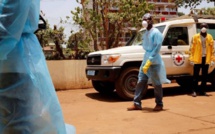 Fièvre Marburg en Guinée: 173 contacts sous surveillance
