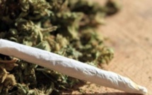 Almadies: dénoncé par son « ami », le dealer cache la drogue dure entre ses fesses