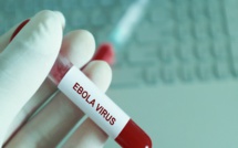 Cas déclaré d'Ebola en Côte d'Ivoire : L’Institut Pasteur de Lyon contredit les premiers résultats