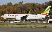 Crashs du 737 MAX: les plaintes d'actionnaires contre Boeing jugées recevables