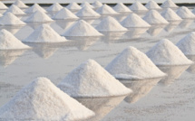 Fatick: une unité de raffinage de sel table sur 200 emplois directs