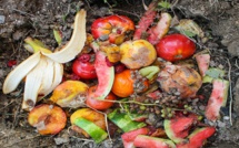 811 millions de personnes souffrent de la faim, le monde gaspille 17% de la nourriture qu'il produit (FAO)