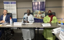 L'Etat invité à prendre des mesures pour régler les problèmes de ressources halieutiques au Sénégal