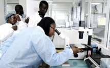 Séquençage et Analyse des données Sars-CoV-2: l'Institut Pasteur de Dakar forme des médecins de 15 pays