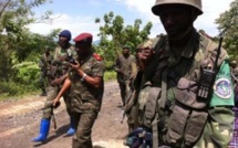 RDC : le gouvernement salue l'annonce de cessez-le-feu par le M23