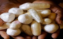 Trafic d’héroïne et de cocaïne: la bande qui approvisionnait la Médina, le Point E et Golf-Sud démantelée