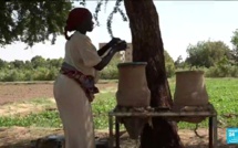 À Khartoum, le quartier agricole de Tuti veut continuer la résistance contre le putsch au Soudan