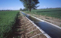 Maîtrise de l’eau pour une production agricole garantie: la nécessité d'un cadre institutionnel