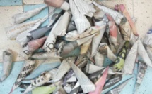 Opération de sécurisation à Yeumbeul: 7 trafiquants écroués, 1 kg et 33 cornets de chanvre indien saisis