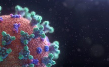 Covid-19 : la présence du variant Omicron confirmée dans 23 pays