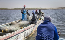 Joal : 12 pêcheurs arrêtés pour avoir kidnappés 4 militaires marins bissau-guinéens
