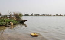 Gestion des ressources en eau dans le bassin du Fleuve Sénégal : la Banque Mondiale débloque 228,5 millions