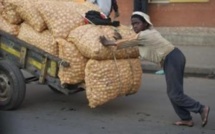 Des cas de peste pulmonaire recensés dans le nord de Madagascar