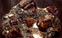 Kaya et Diender: les populations contre l'exploitation du zircon s'organisent pour faire face