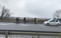 Un bœuf saute d’un camion et provoque un accident sur l'autoroute à Péage: le chauffeur atterrit en prison
