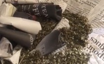 Keur Mbaye Fall : La police de Zac Mbao met fin aux agissements d'un gros trafiquant de chanvre indien