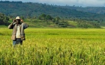 Burundi: un nouveau projet de loi pour la résolution des conflits fonciers