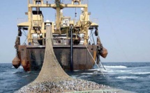 Négociations du Traité sur les océans mondiaux : La Société civile dénonce les restrictions à sa participation