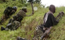RDC: l'offensive de l'armée contre les ADF-Nalu s'enlise