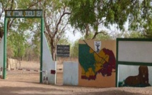 "Torture et traitement inhumain": l'adjoint du chef de la brigade du Parc de Niokolo Koba envoyé en prison