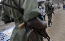 Après avoir annoncé la fin des hostilités, les FDLR peinent à convaincre