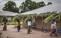 Casamance : plus de 300 personnes déplacées et une dizaine d’écoles fermées suite aux combats